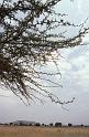 RWT 0179 193-05 Kenya Rift Valley